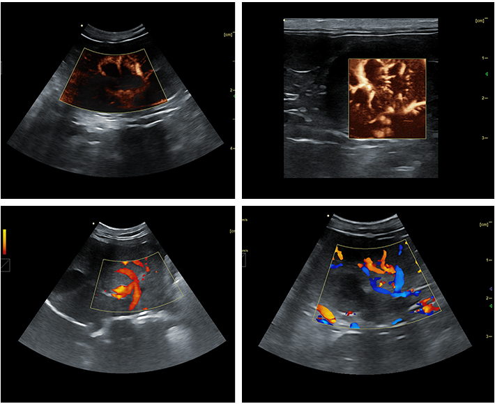 High-Res Imaging, Precise Diagnostics