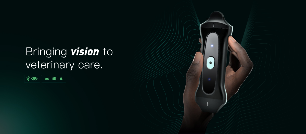 Compact Design and Wireless Charging