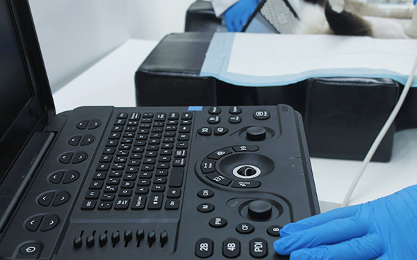 Intelligent imaging, high-efficiency operation