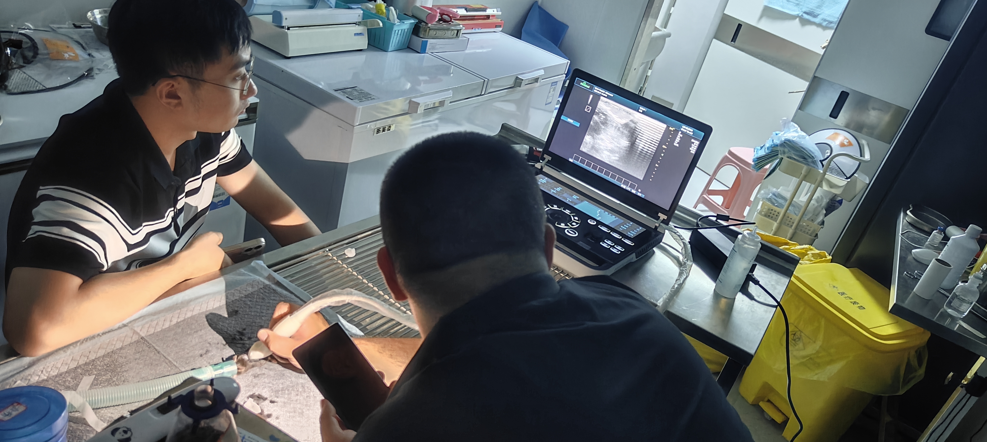 Unveiling the Drug Code in 30-gram Mice: Periodmed Revo 9 Vet Aids Cutting-Edge Drug Research