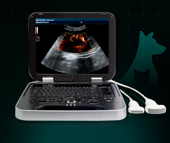 AI Imaging, Easy Operation